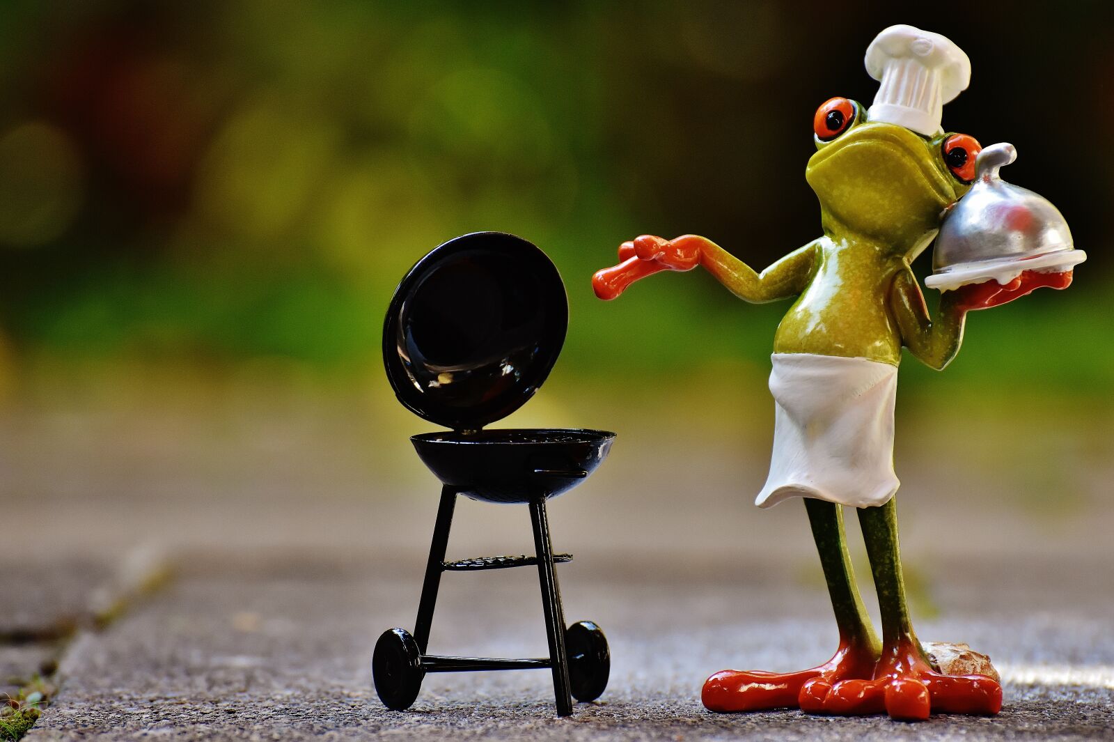 Nikon D7200 sample photo. Frog, cooking, grill photography
