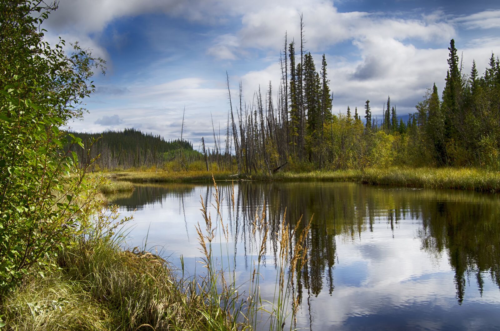 Nikon D5100 sample photo. Alaska, reflection, pond photography