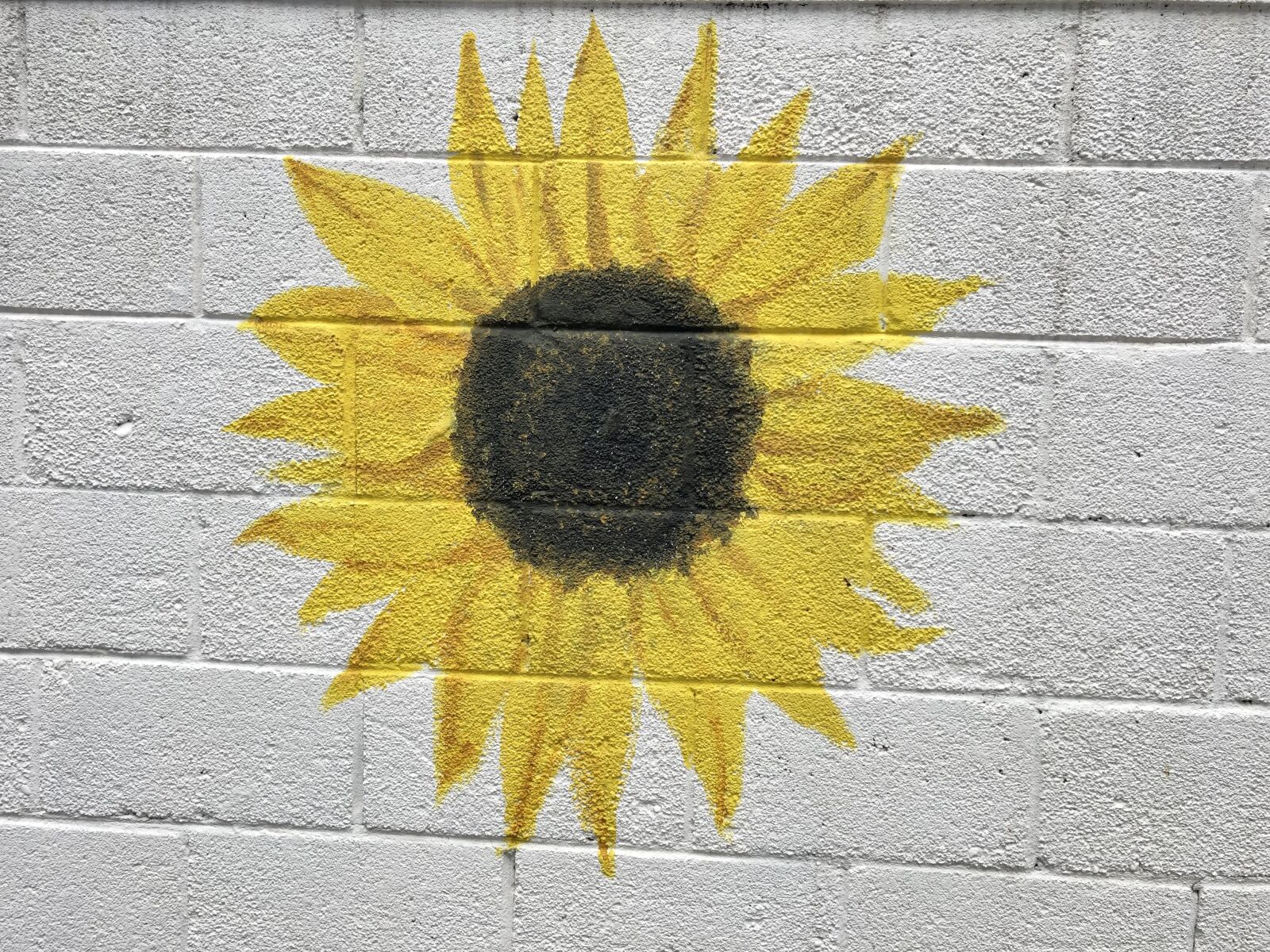 iPhone X back dual camera 4mm f/1.8 sample photo. Sunflower, painting, design photography