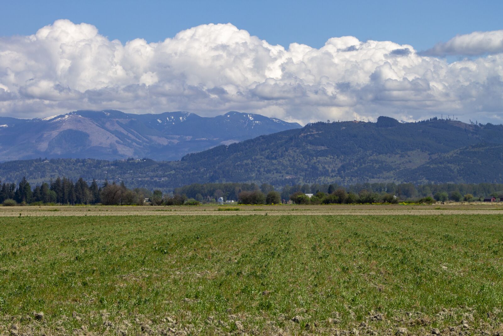 Canon EOS 1100D (EOS Rebel T3 / EOS Kiss X50) + Canon EF75-300mm f/4-5.6 sample photo. Farm, field, mountains photography