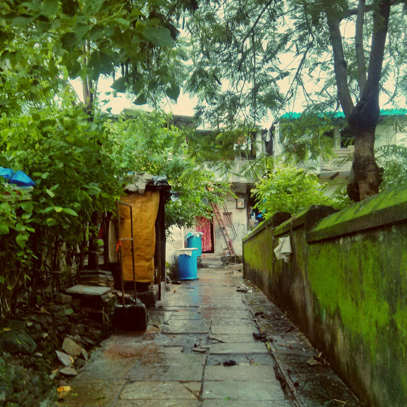 LG Nexus 4 sample photo. After, the, rain photography