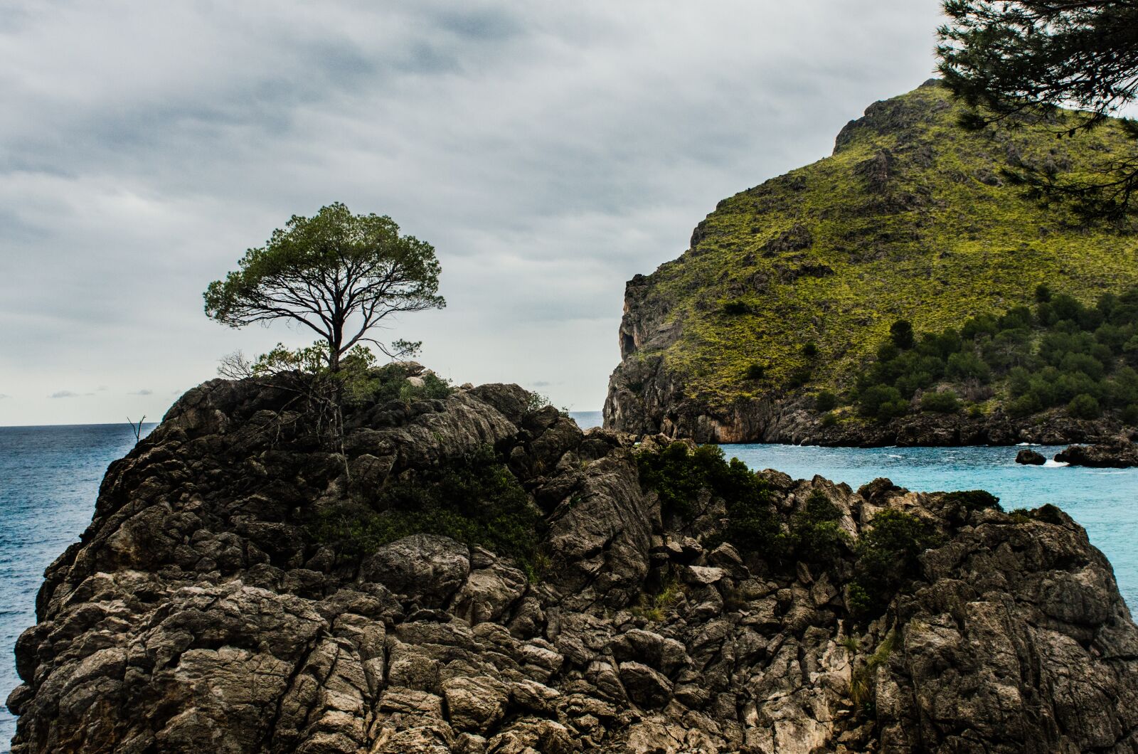Nikon D7000 sample photo. Tree, island, mallorca photography