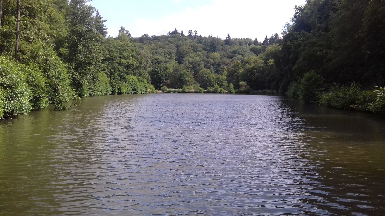 Samsung Galaxy J3(2016) sample photo. Lake, walk, forest photography