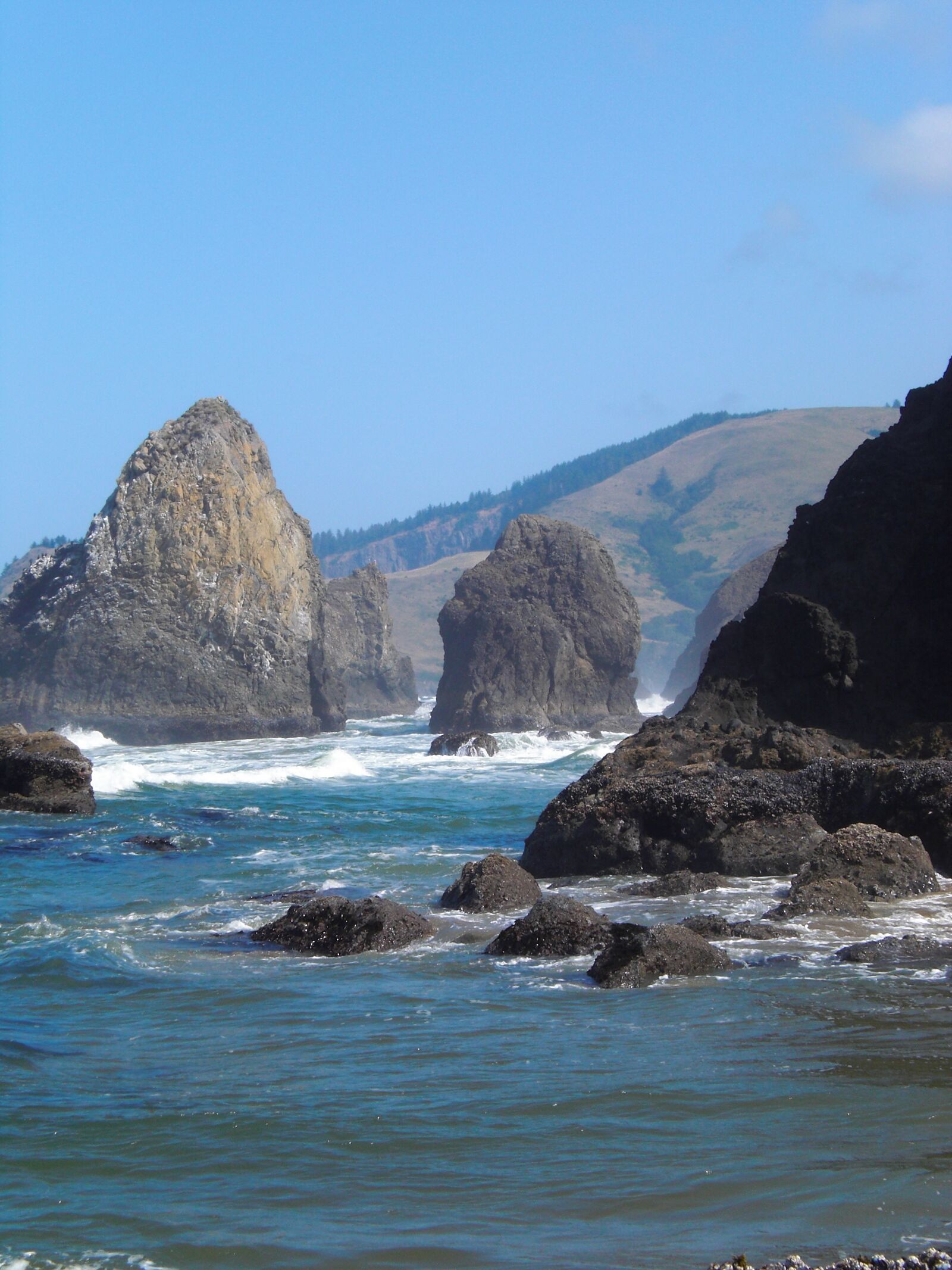 CASIO EX-Z80 sample photo. Oregon coast, ocean, cannon photography