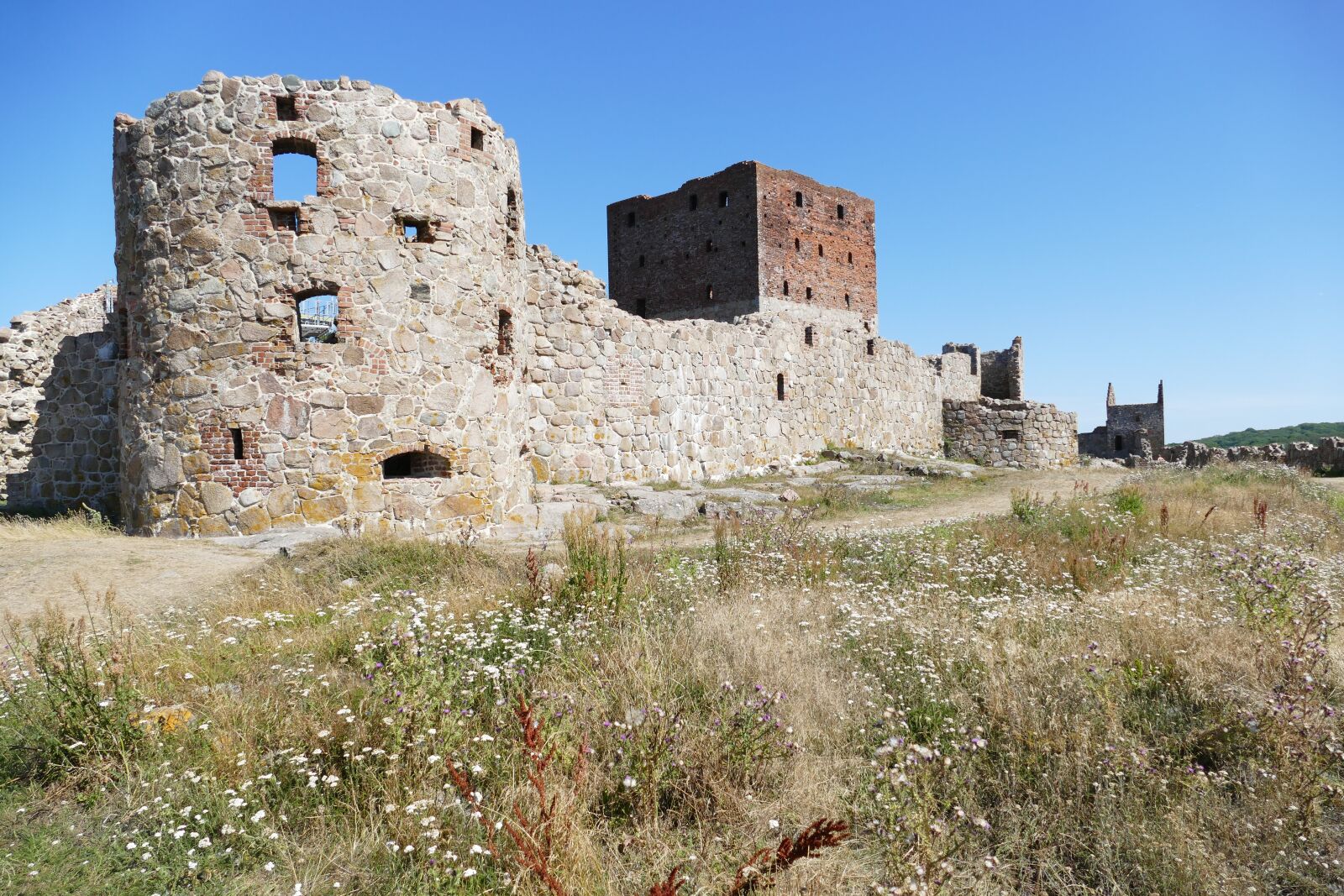 Panasonic Lumix DMC-FZ1000 sample photo. Bornholm, hammershus, castle photography