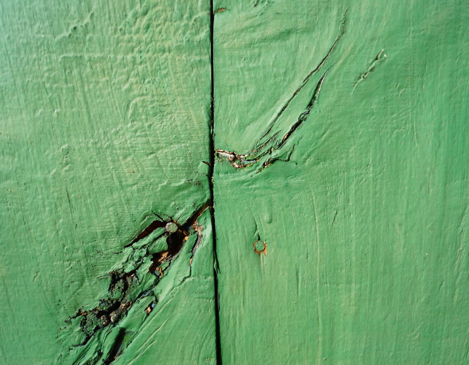 Sony DT 18-55mm F3.5-5.6 SAM II sample photo. Green, wood, wooden wall photography