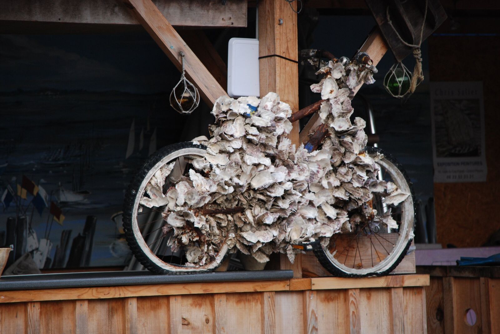 Nikon D80 sample photo. Bike, covered, shells photography