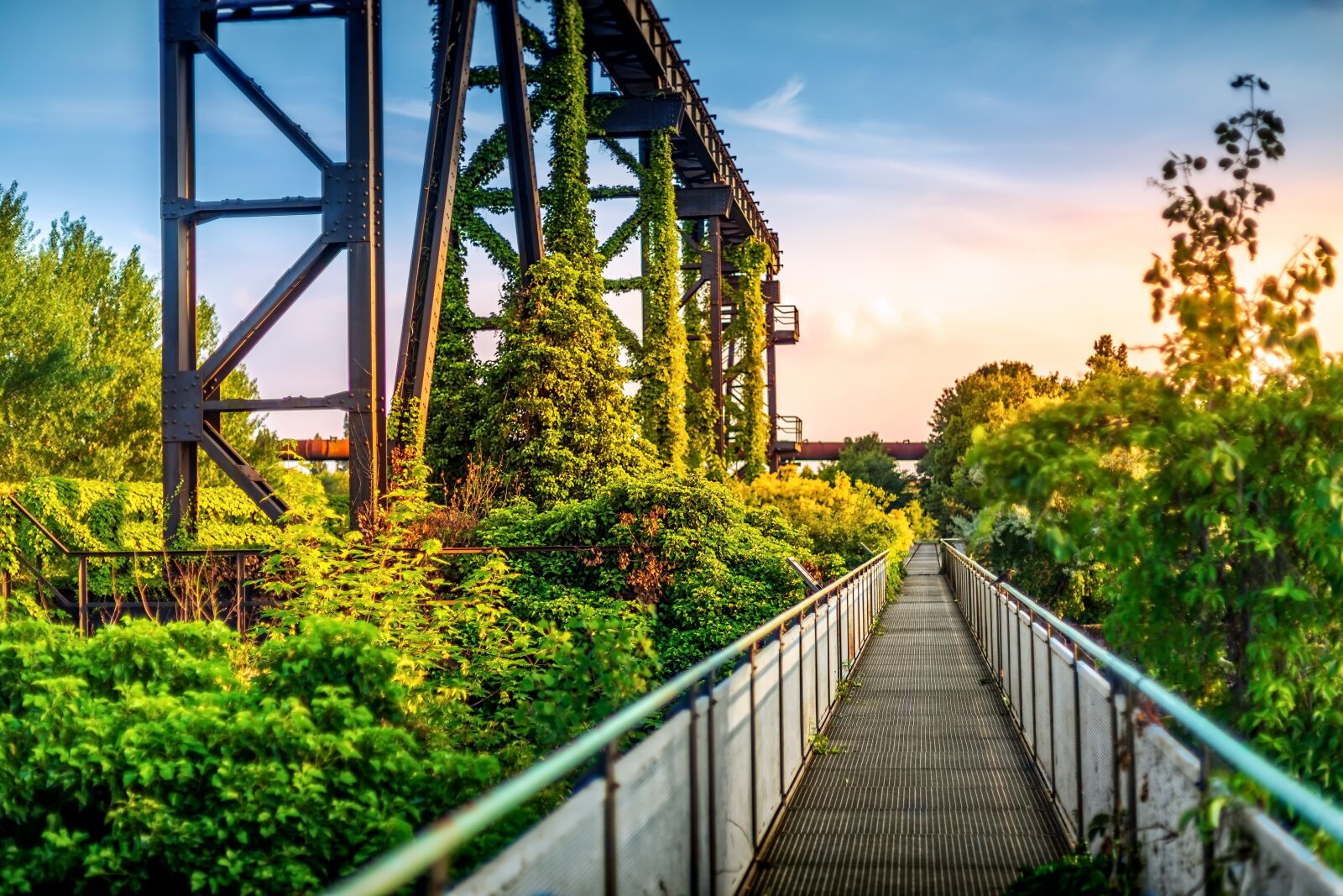 Canon EOS 6D + Canon EF 50mm F1.4 USM sample photo. Landschaftspark, duisburg, nord photography