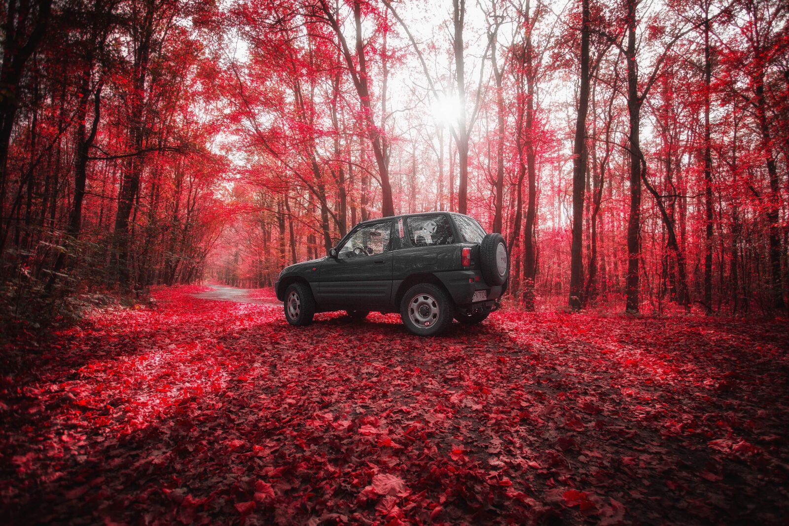 Canon EOS 6D + Canon EF 17-40mm F4L USM sample photo. Scenery, the vehicle, tour photography