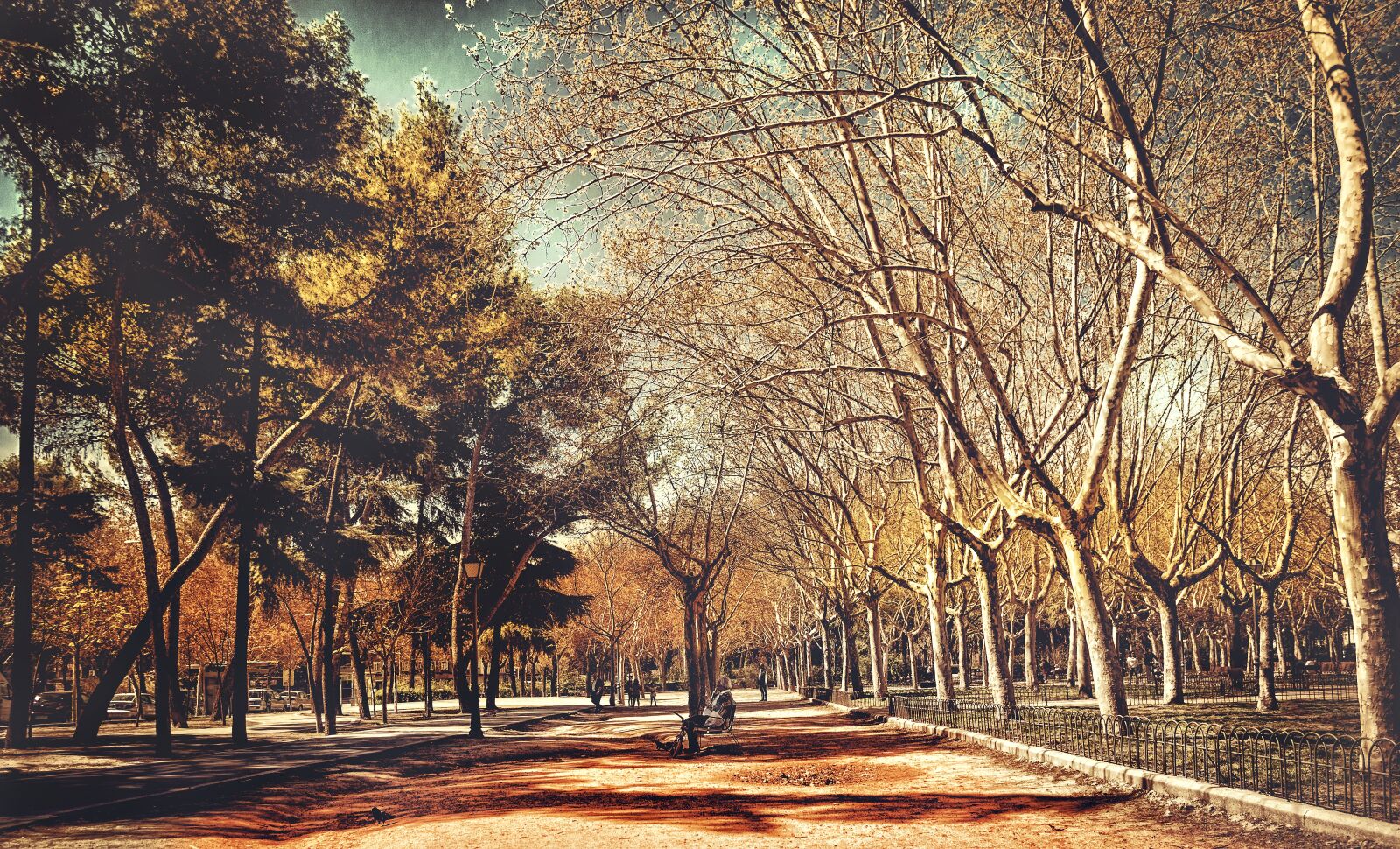 Nikon D5100 sample photo. Tree, nature, autumn photography