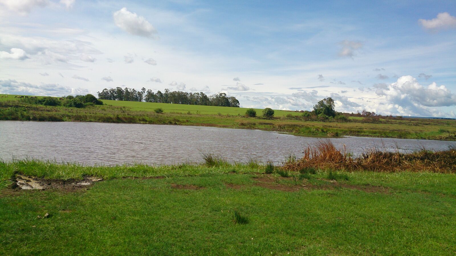 Sony Xperia Z sample photo. Small, farm, dam photography
