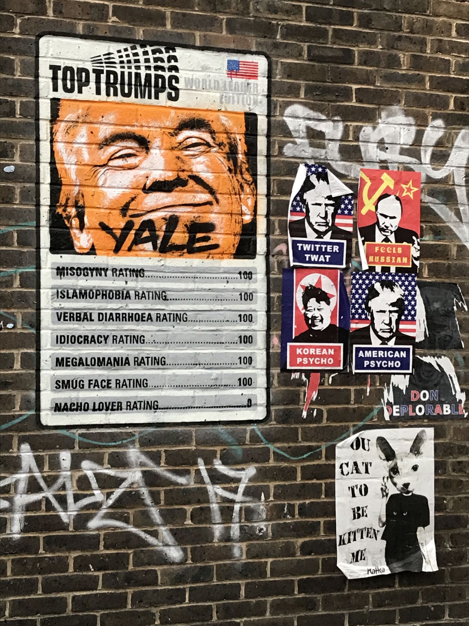 iPhone 7 back camera 3.99mm f/1.8 sample photo. America, donald, trump, london photography