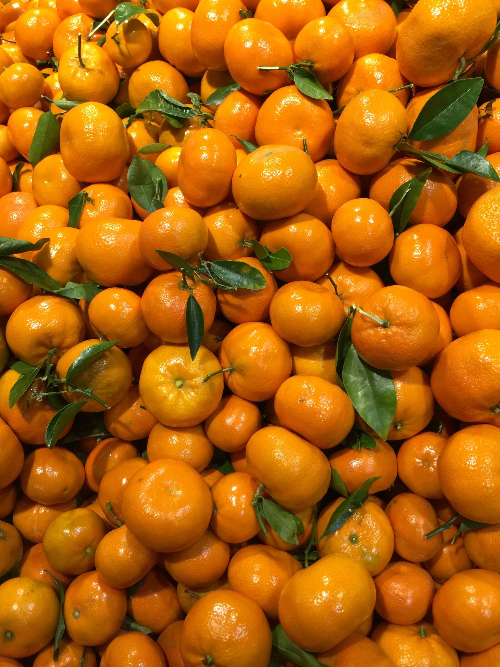 iPhone 6 Plus back camera 4.15mm f/2.2 sample photo. Oranges, citrus, orange photography