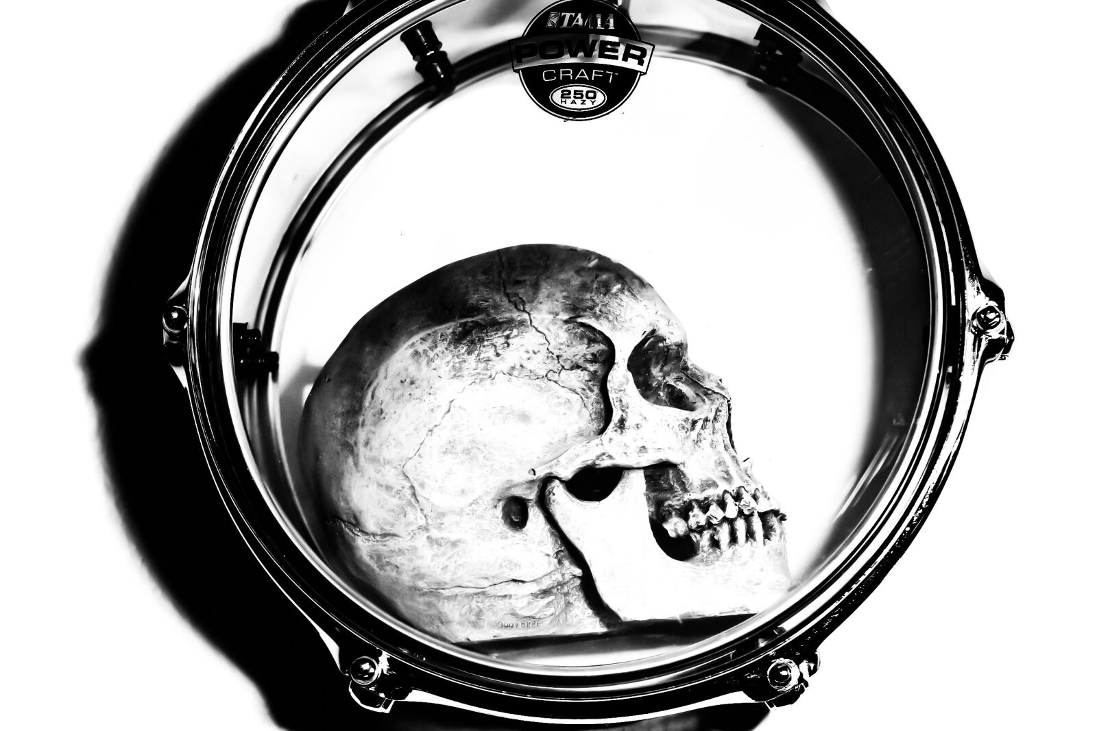 Canon EOS 80D sample photo. Skull, drum, black and photography