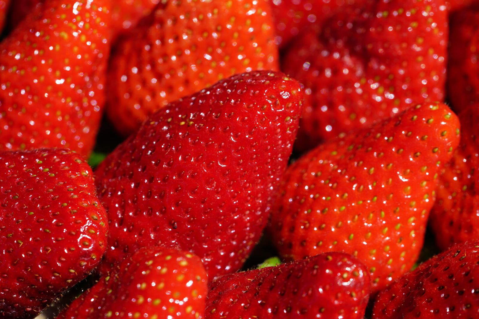 Sony a7R II + Sony FE 90mm F2.8 Macro G OSS sample photo. Strawberries, sweet, red photography
