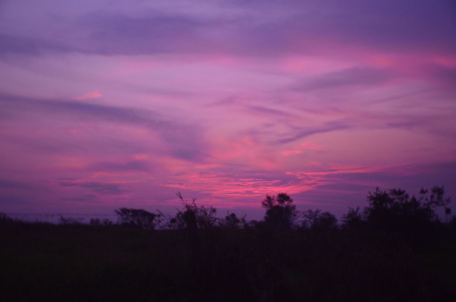 Nikon D7000 sample photo. Sunset, purple, sky photography