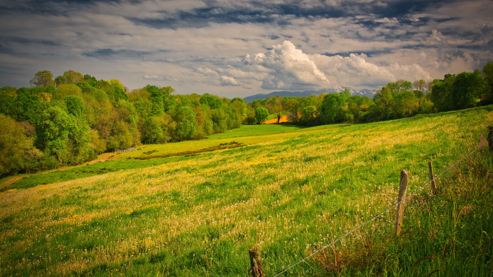 Nikon D7100 sample photo. Landscape, mountain, fields photography