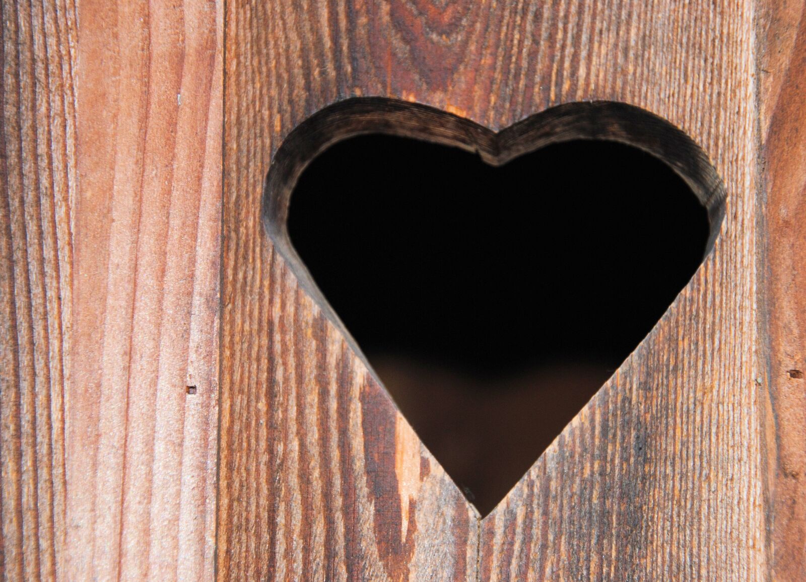 Nikon D3000 sample photo. Heart, wooden door, heart photography