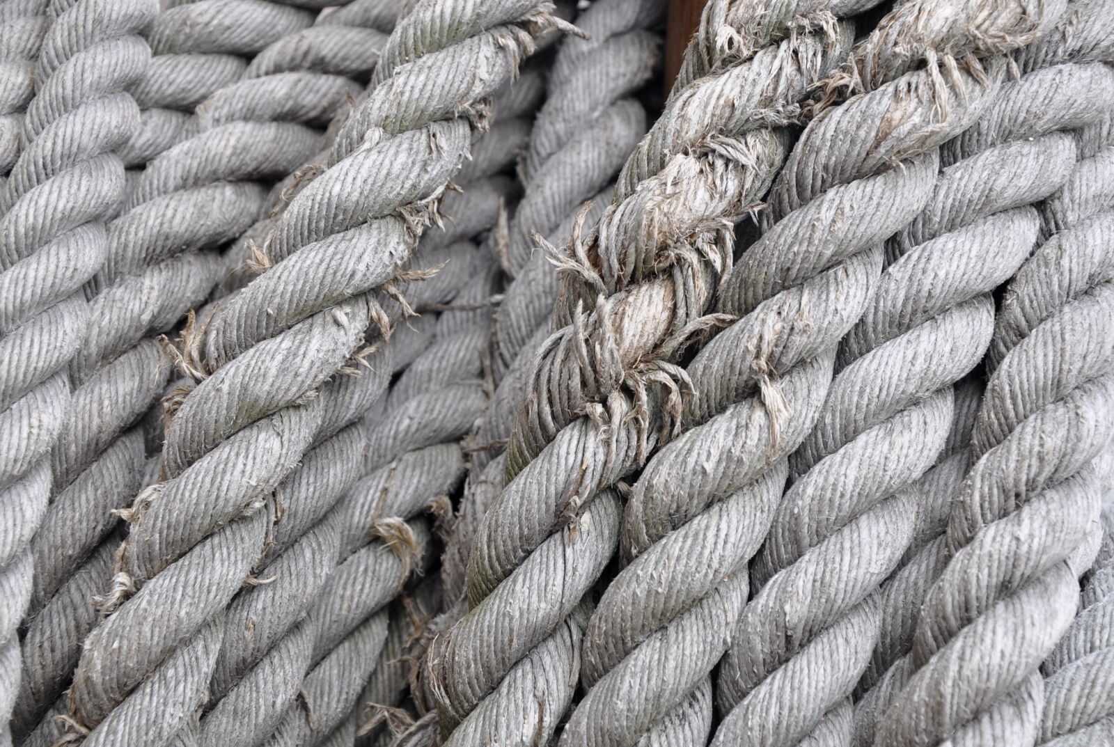 Nikon D90 sample photo. Rope, node, texture photography