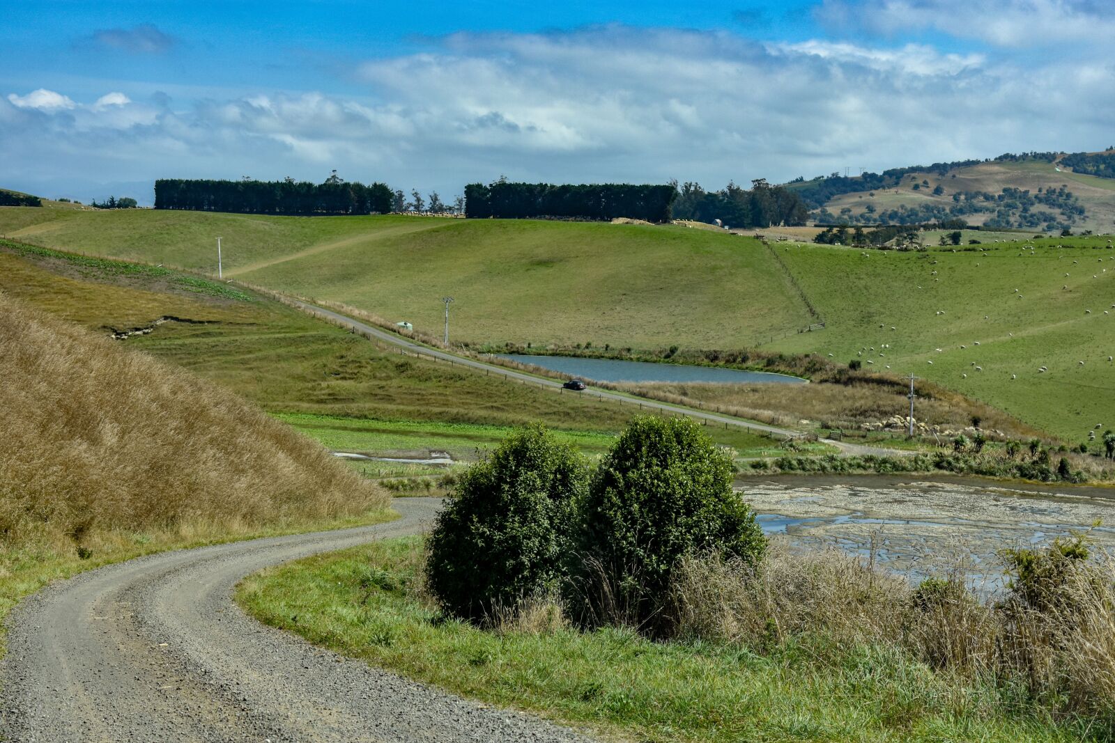 Nikon D3400 sample photo. Tumai beach, new zealand photography
