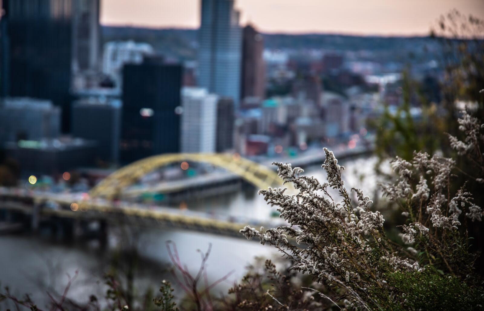 Nikon D810 sample photo. Fall, city, skyline photography