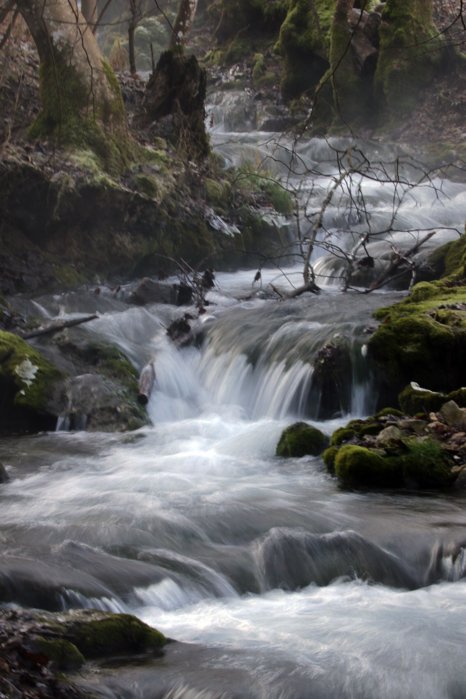 Canon EOS 7D Mark II sample photo. River, water, fog photography