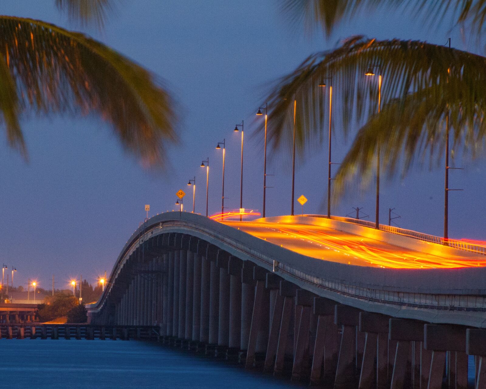 Nikon D50 sample photo. Night, bridge, palm trees photography