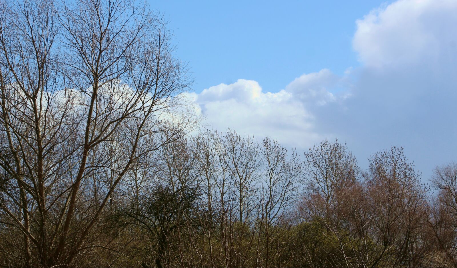 Canon EOS 4000D (EOS Rebel T100 / EOS 3000D) sample photo. Nature, view, landscape photography