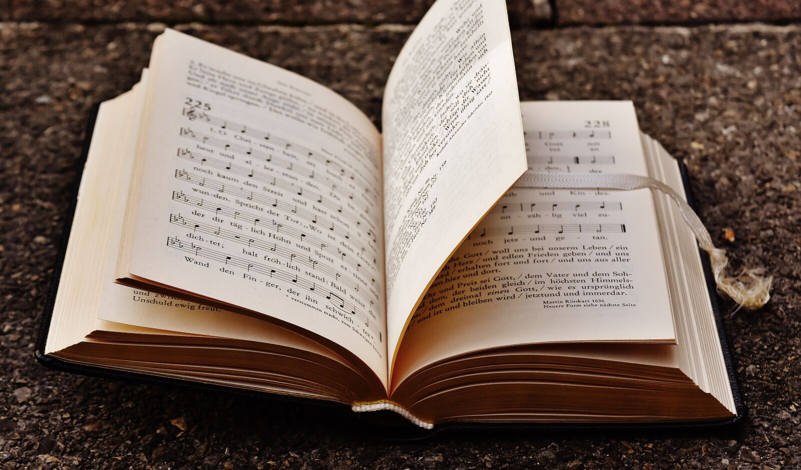 Nikon D7200 sample photo. Book, hymnal, church photography