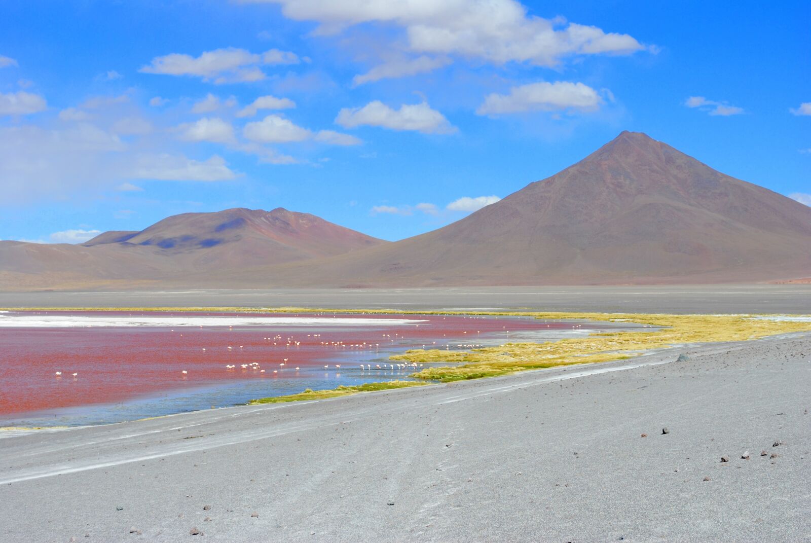 Nikon D3000 sample photo. Red lagoon, bolivia, lagoon photography
