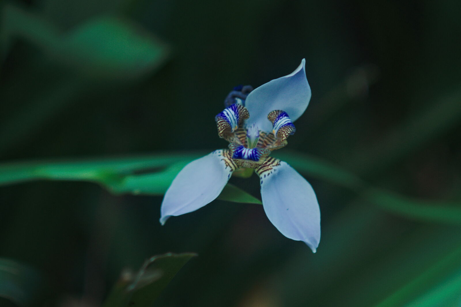 Nikon D90 sample photo