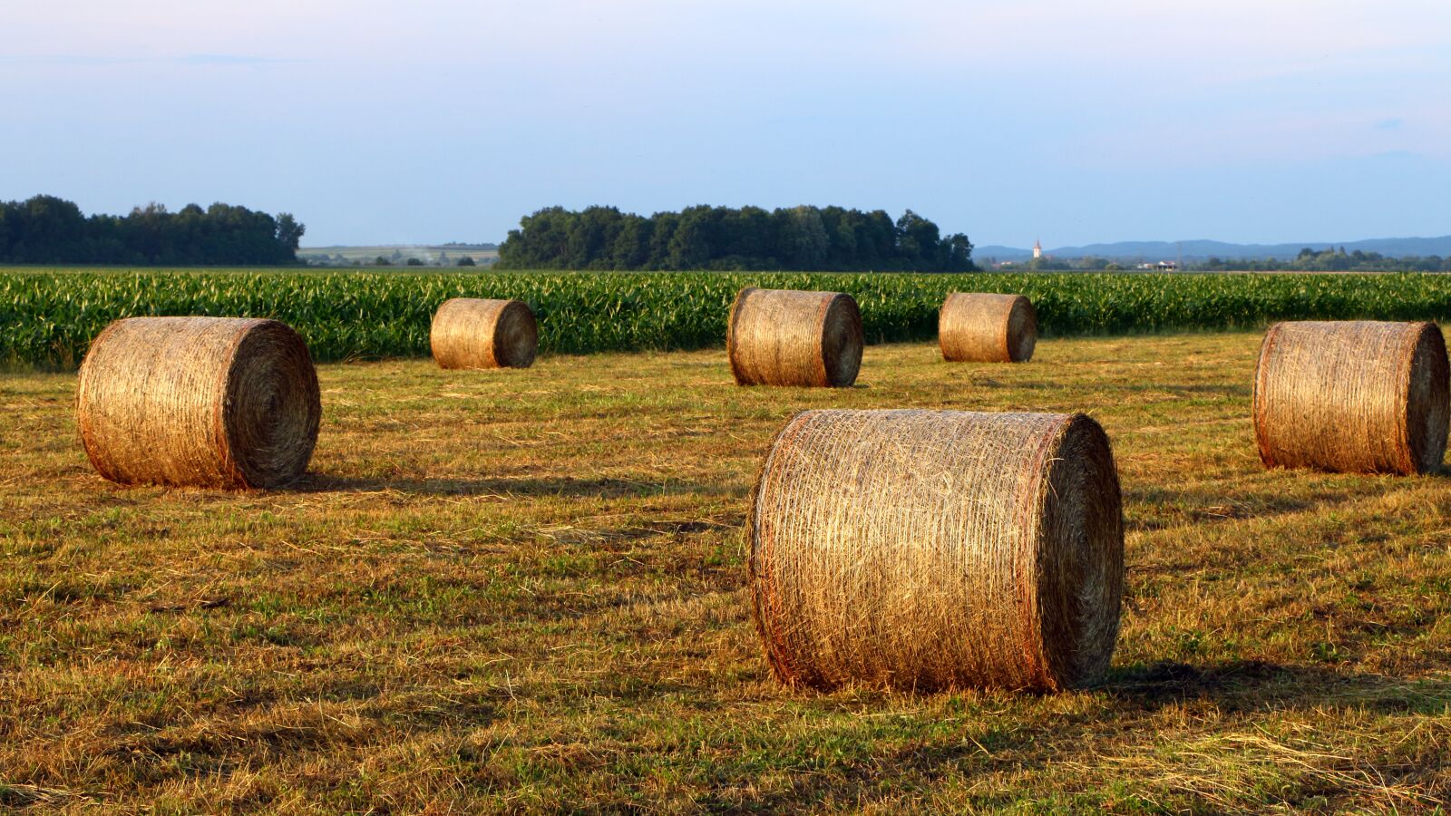 Canon EF-S 18-135mm F3.5-5.6 IS STM sample photo. Hay, hay bales, hayfield photography
