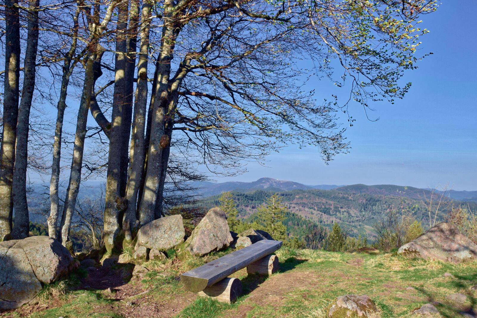Nikon D5300 sample photo. Wooden bench, park bench photography