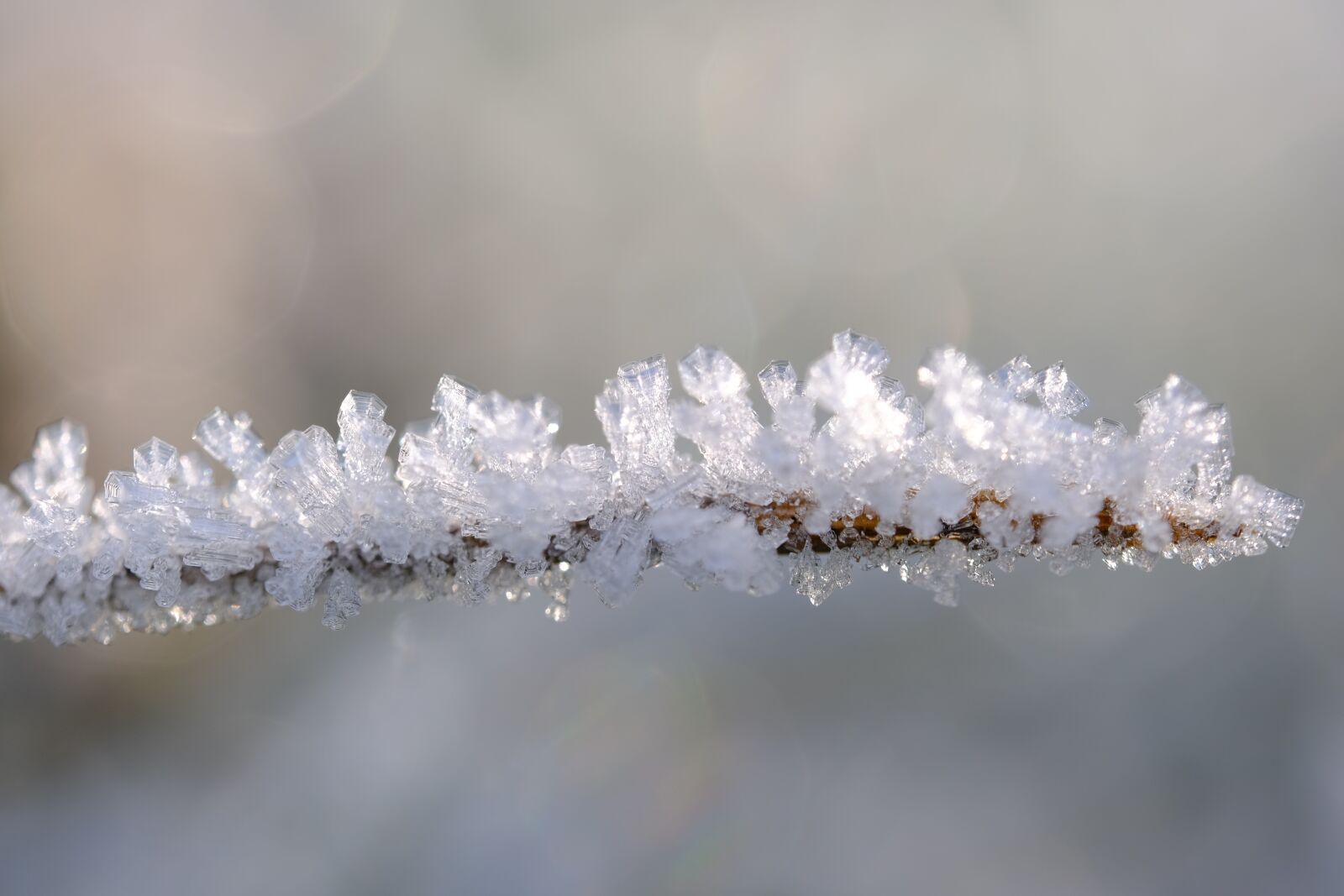 Fujifilm XF 80mm F2.8 R LM OIS WR Macro sample photo. Crystals, branch, eiskristalle photography
