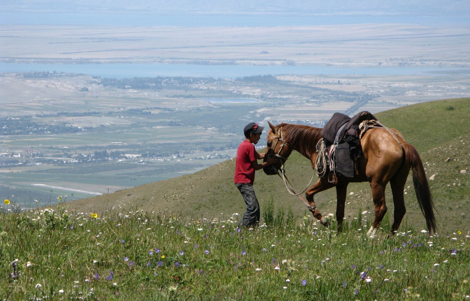 Canon POWERSHOT A720 IS sample photo. Karakol, kyrgyzstan, horse photography
