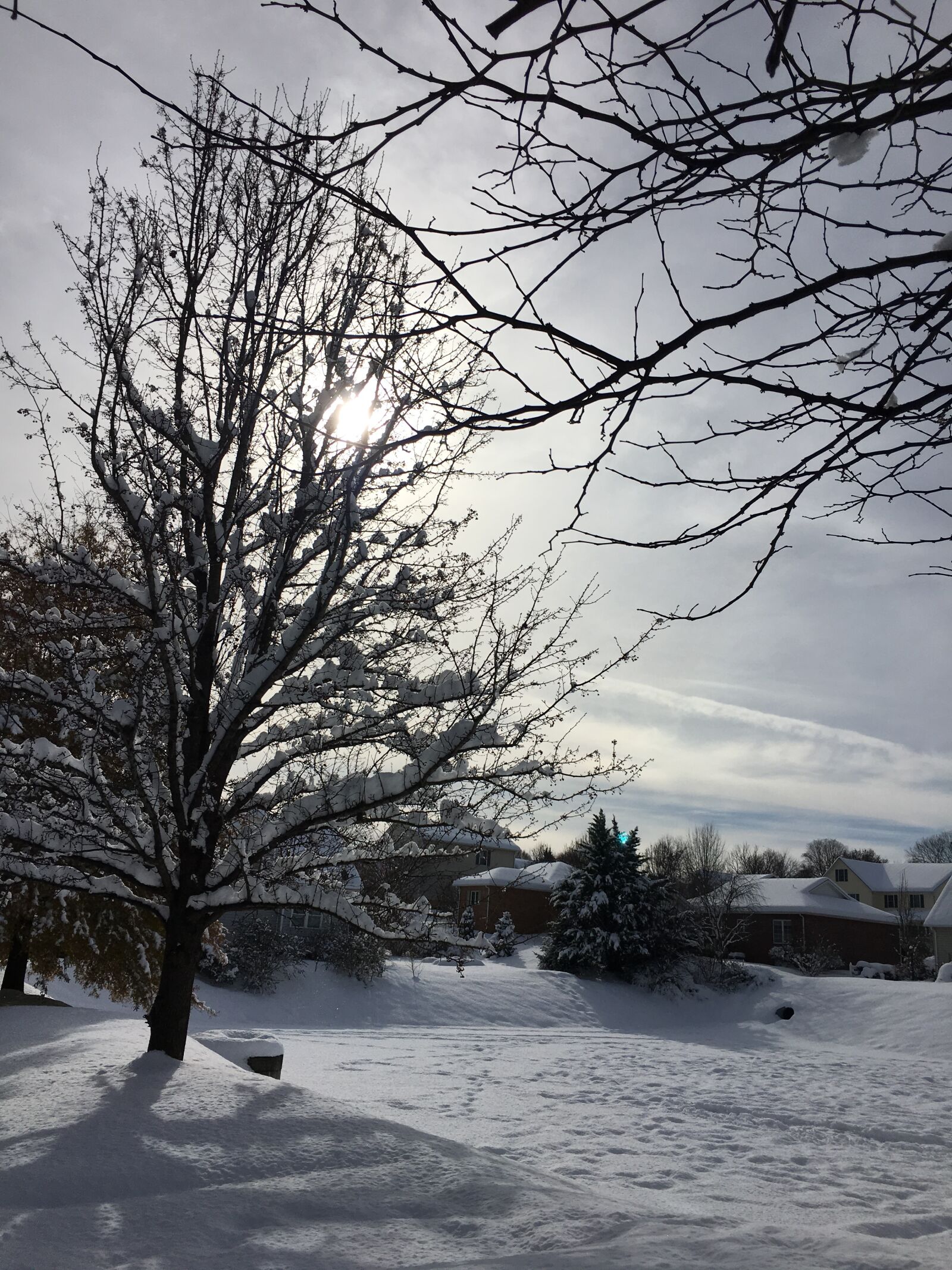 iPhone 6s Plus back camera 4.15mm f/2.2 sample photo. Snow, winter, landscape photography