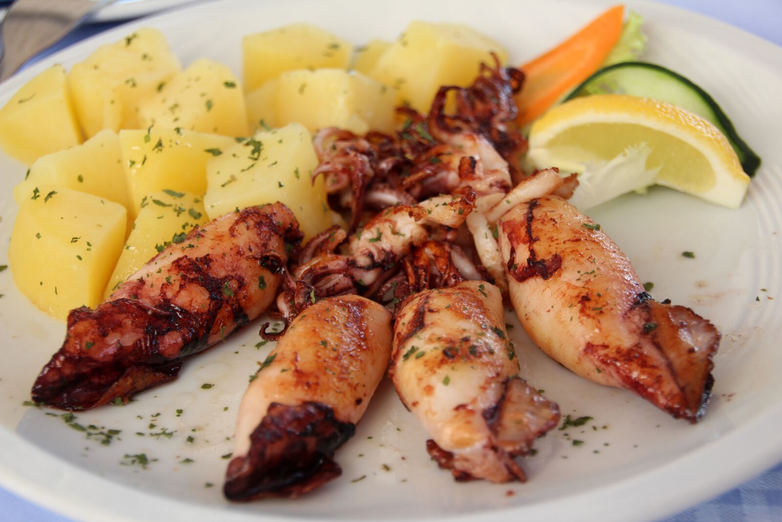 Canon EOS 600D (Rebel EOS T3i / EOS Kiss X5) sample photo. Potatoes, kalmar, mussels photography