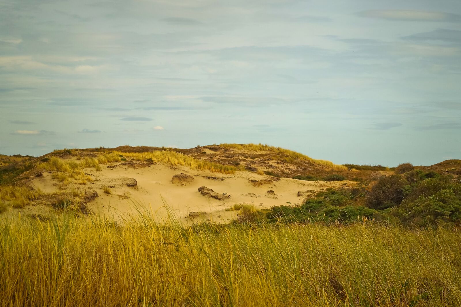 Olympus OM-D E-M10 sample photo. Beach, dune, sand photography