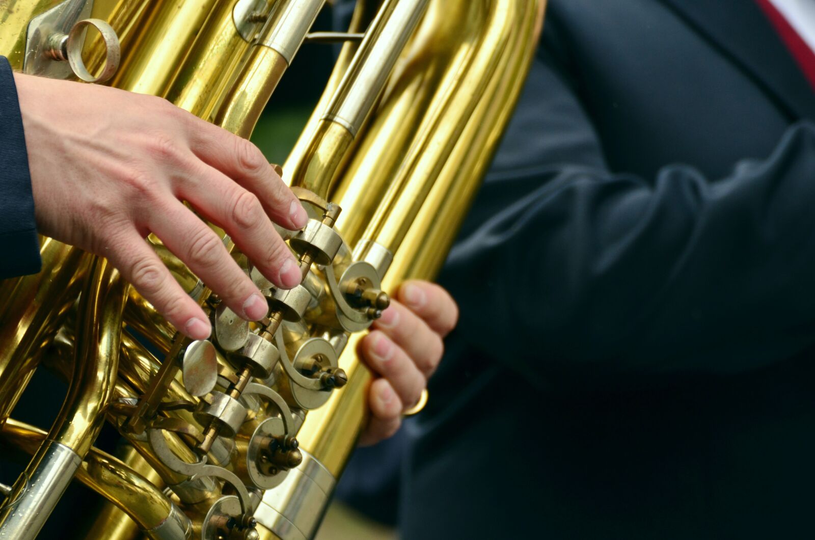Nikon D5100 sample photo. Hands, musical instrument, tuba photography