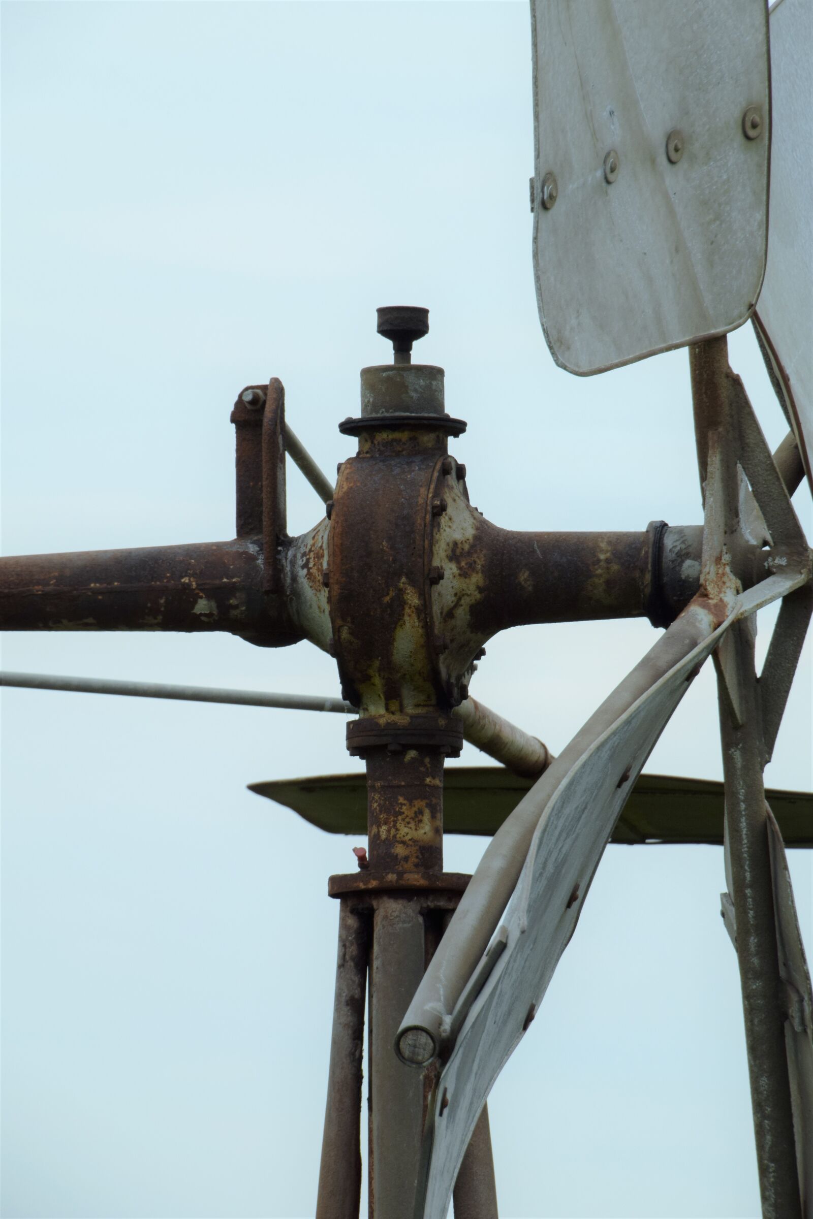 Nikon D3300 sample photo. Mill, polder, hellevoetsluis photography