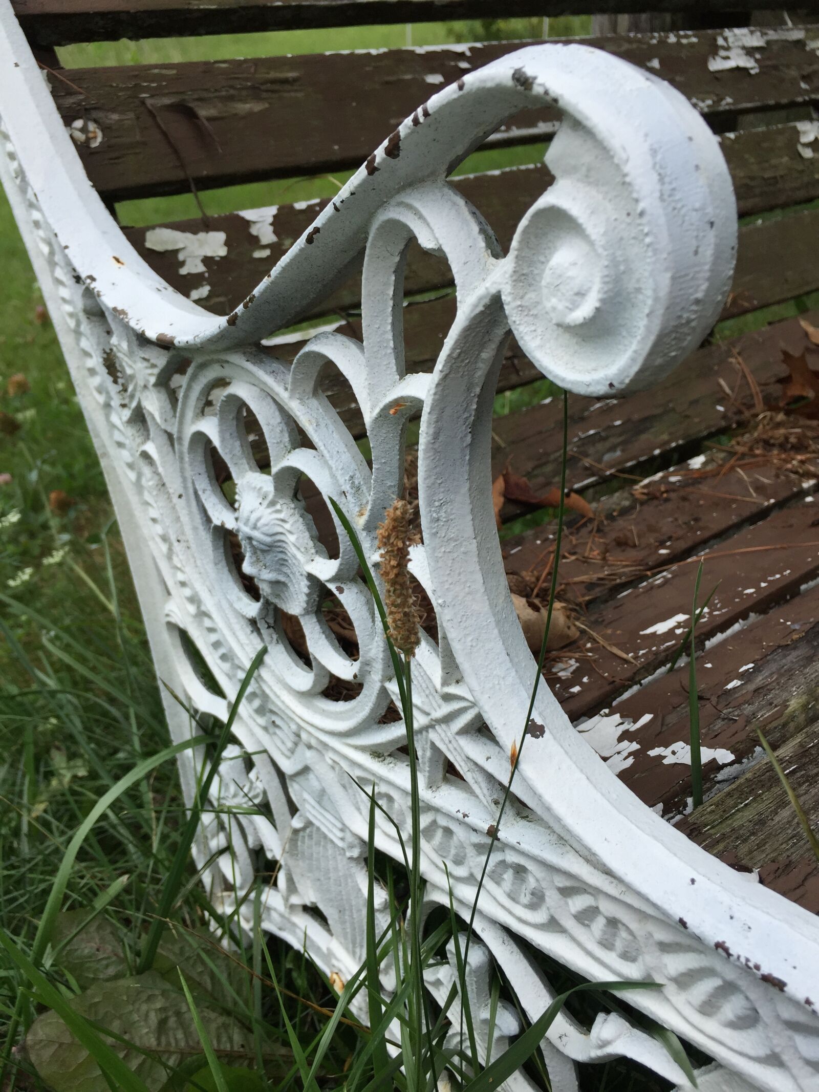 iPhone 6 Plus back camera 4.15mm f/2.2 sample photo. Beach, cast iron, ornate photography