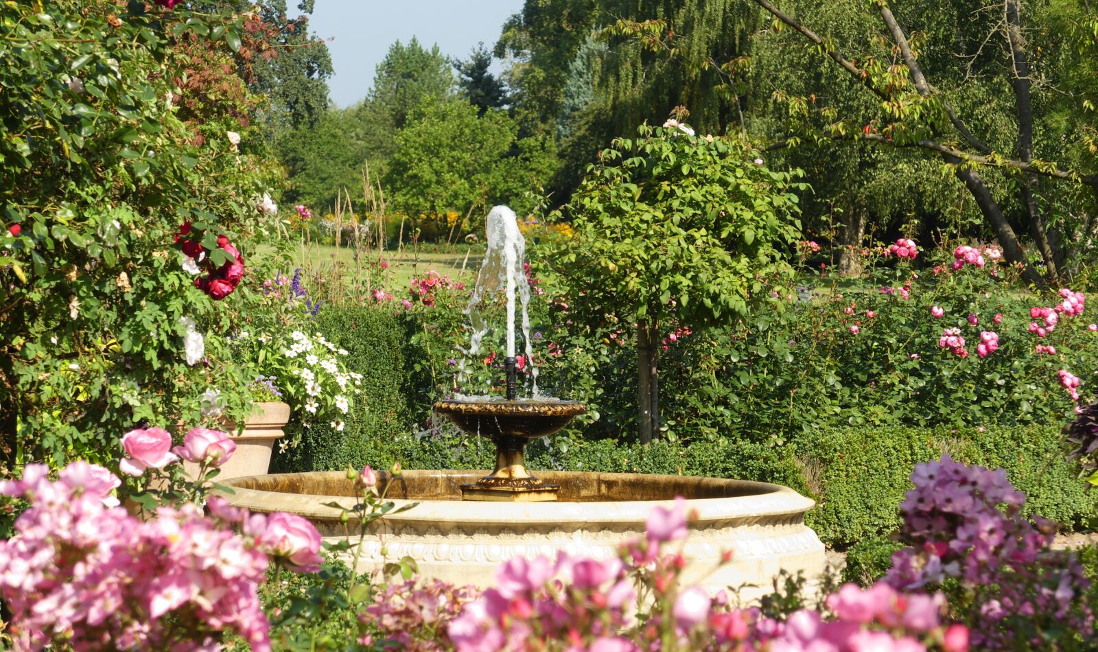 Panasonic Lumix DMC-FZ300 sample photo. Fountain, garden, flowers photography