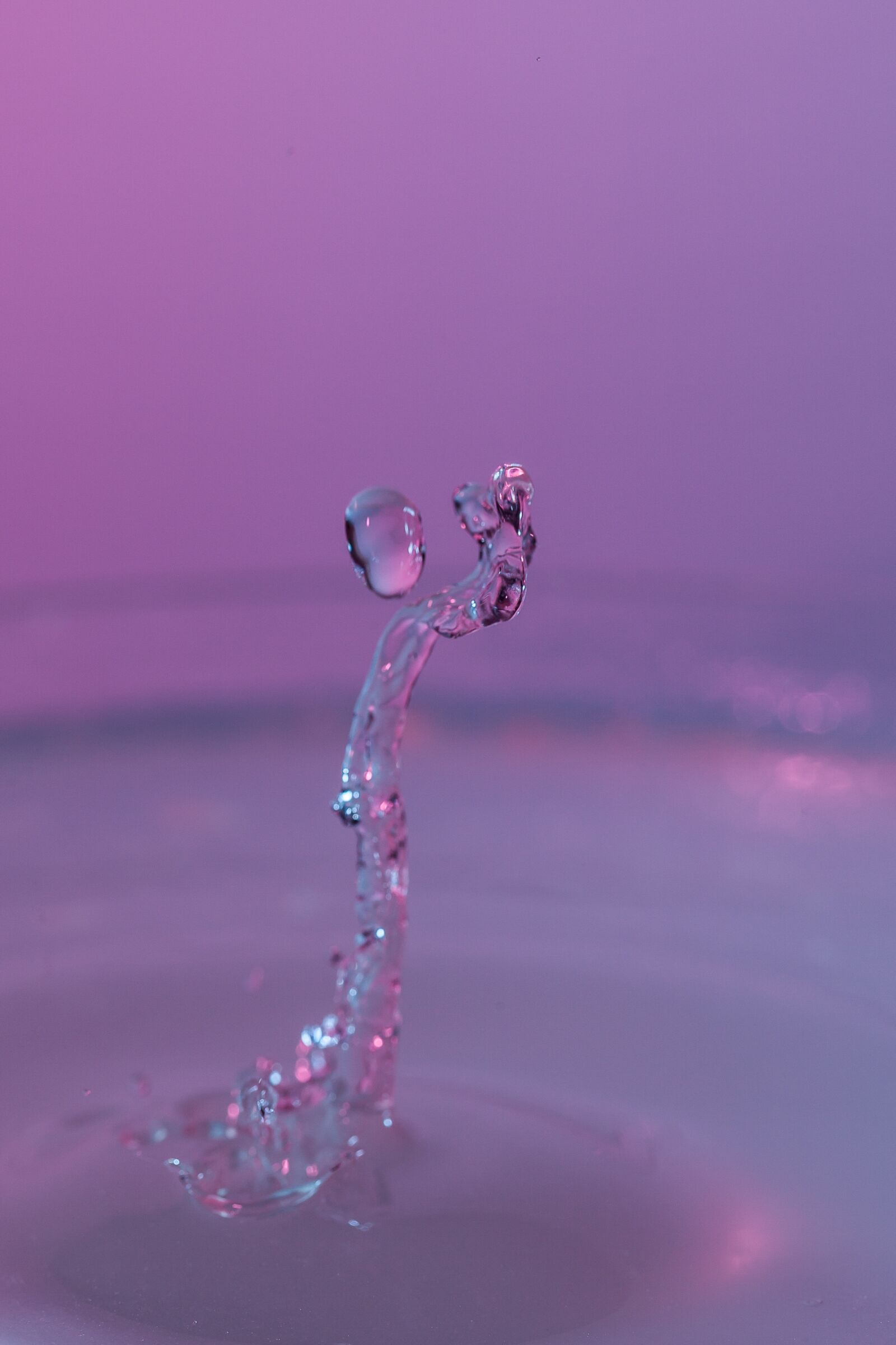 Canon EF 100mm F2.8L Macro IS USM sample photo. Drip, pray, worship photography