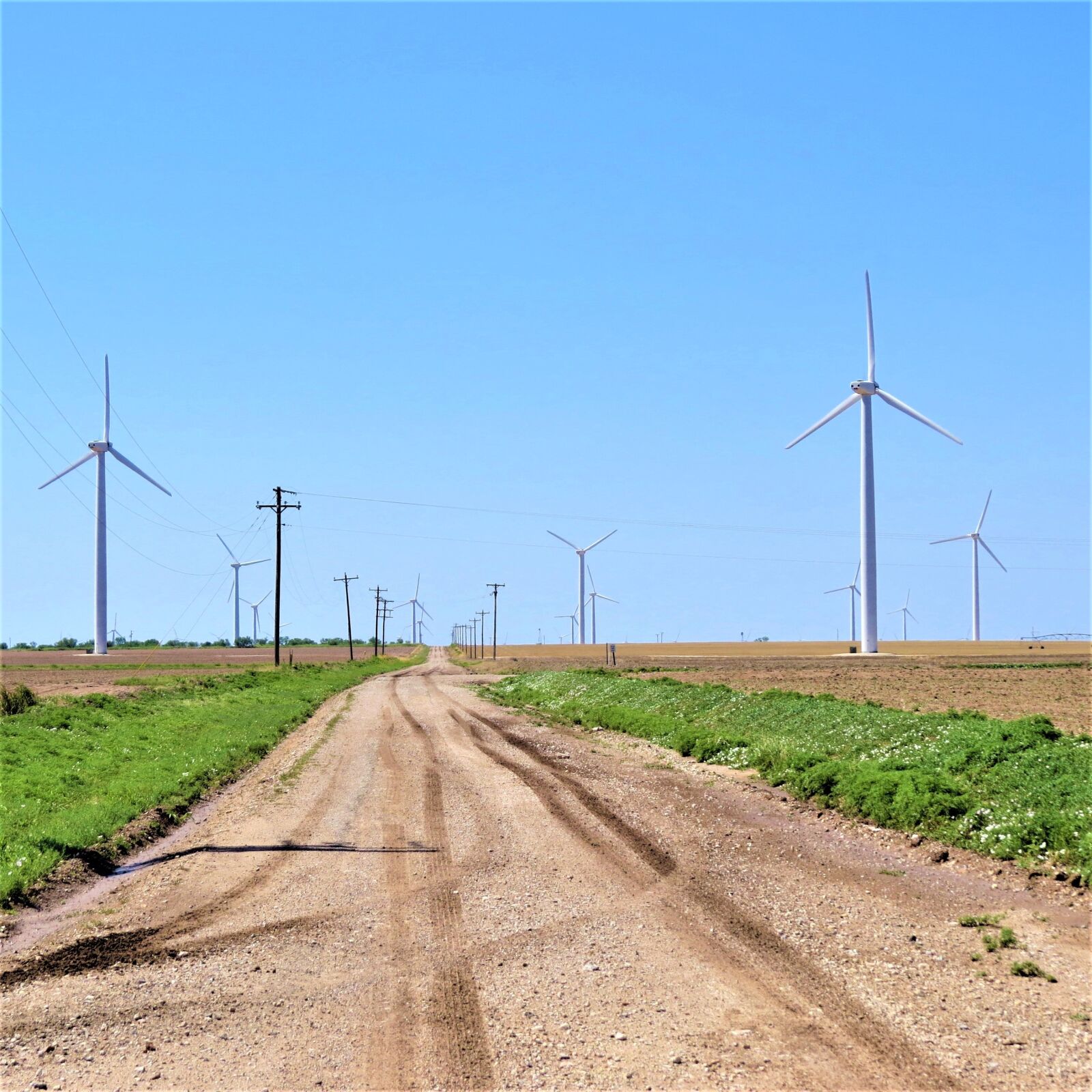 Canon PowerShot SX50 HS sample photo. Modern windmills, road, blue photography