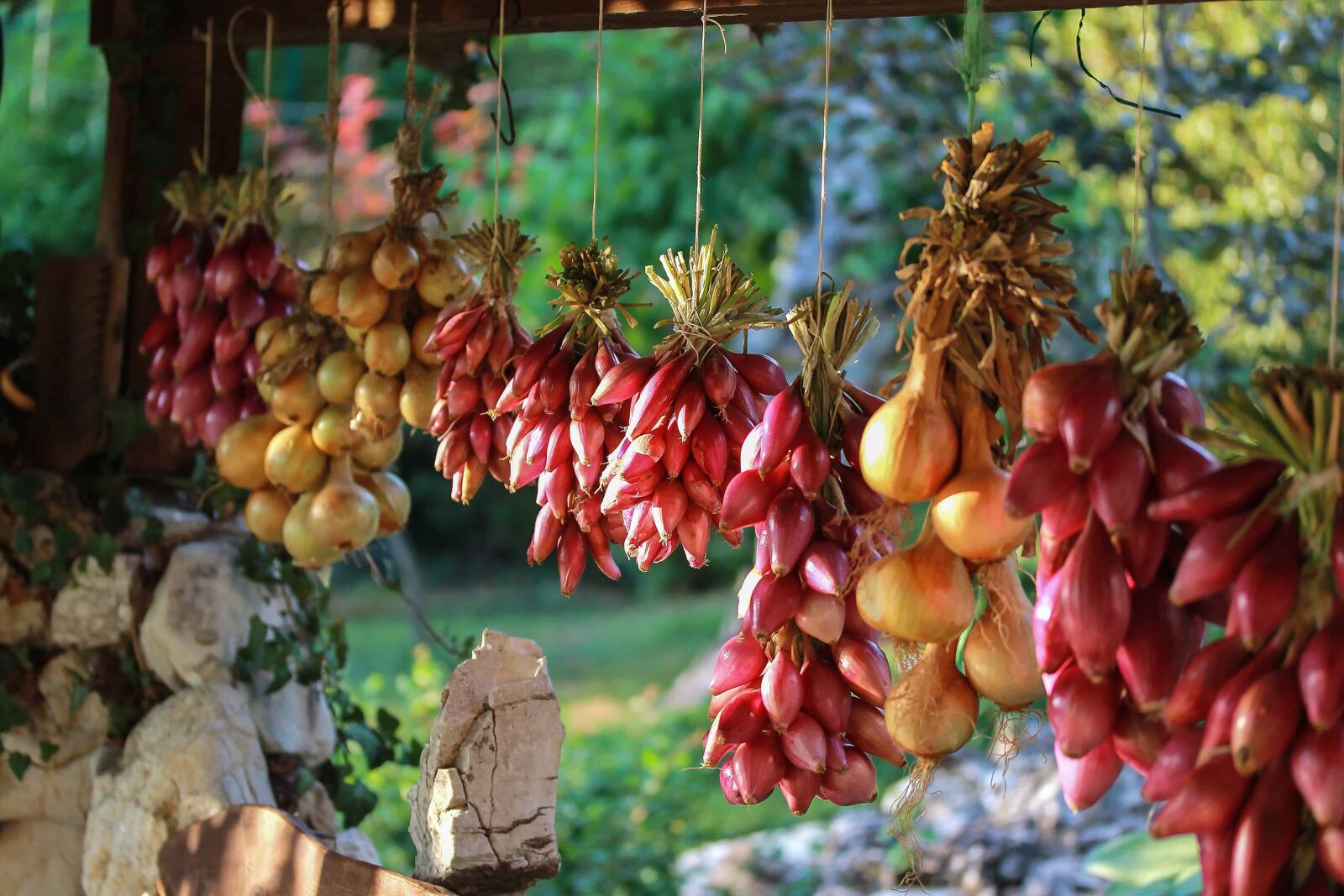 Canon EOS 1100D (EOS Rebel T3 / EOS Kiss X50) sample photo. Agriculture, food, vegetables, pepper photography