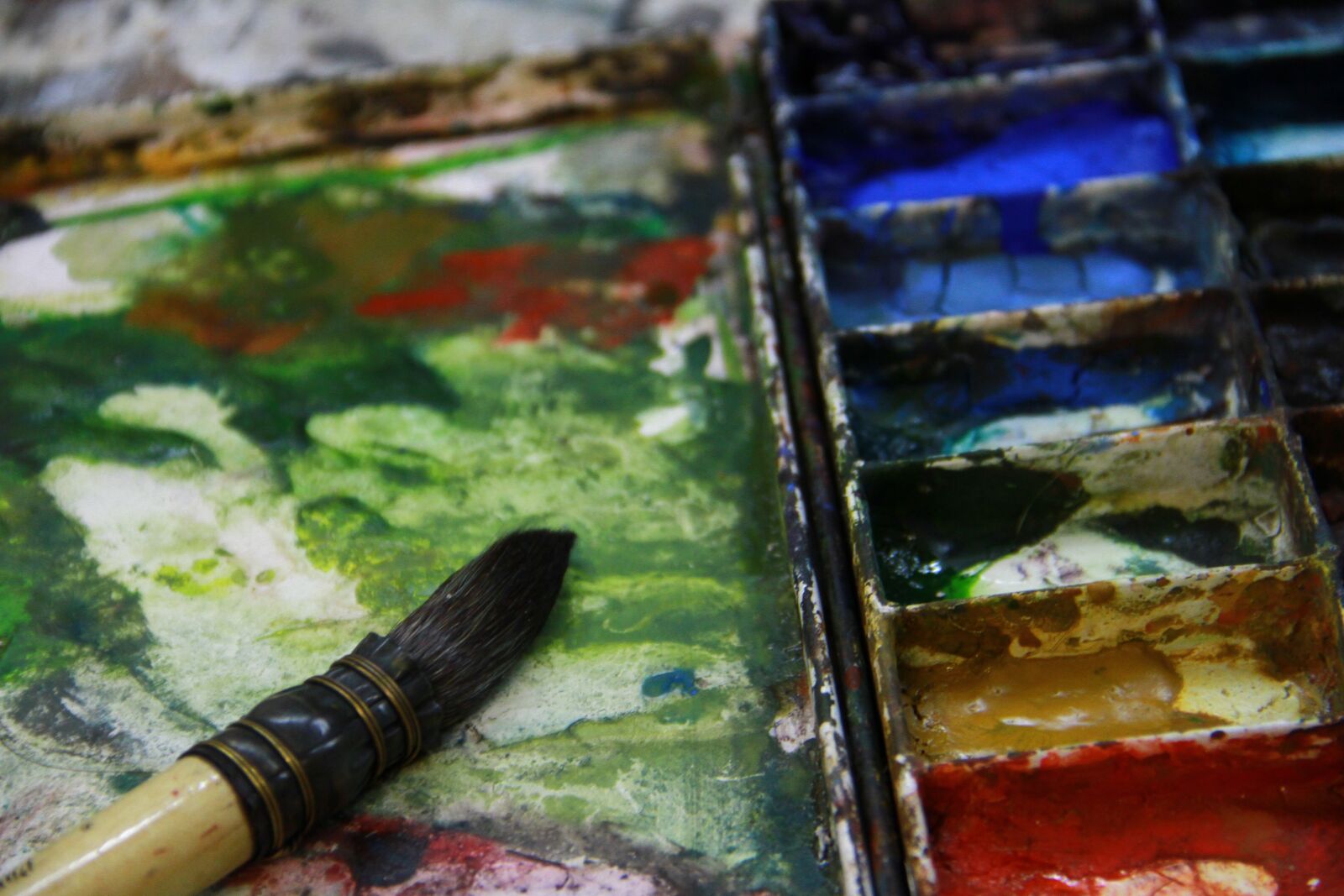 Canon EOS 7D sample photo. Art, watercolor, brushes photography