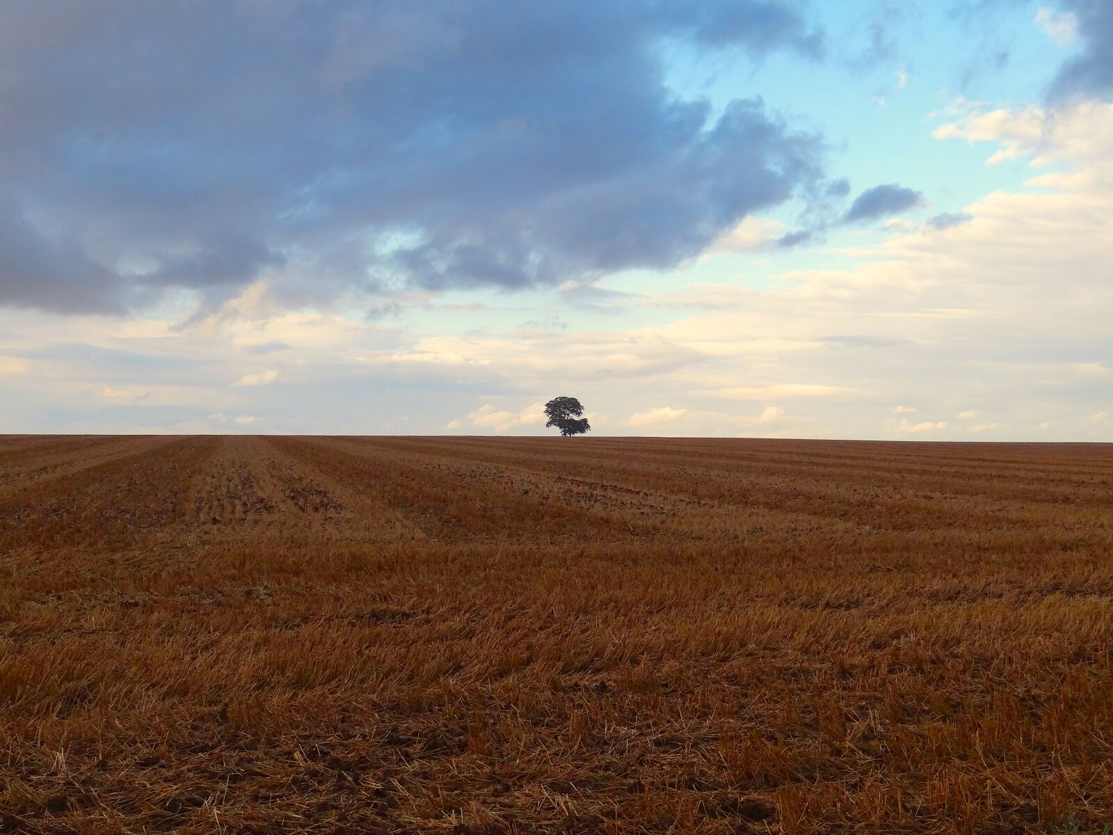Sony Cyber-shot DSC-HX100V sample photo. Ferragosto, nature, campaign photography