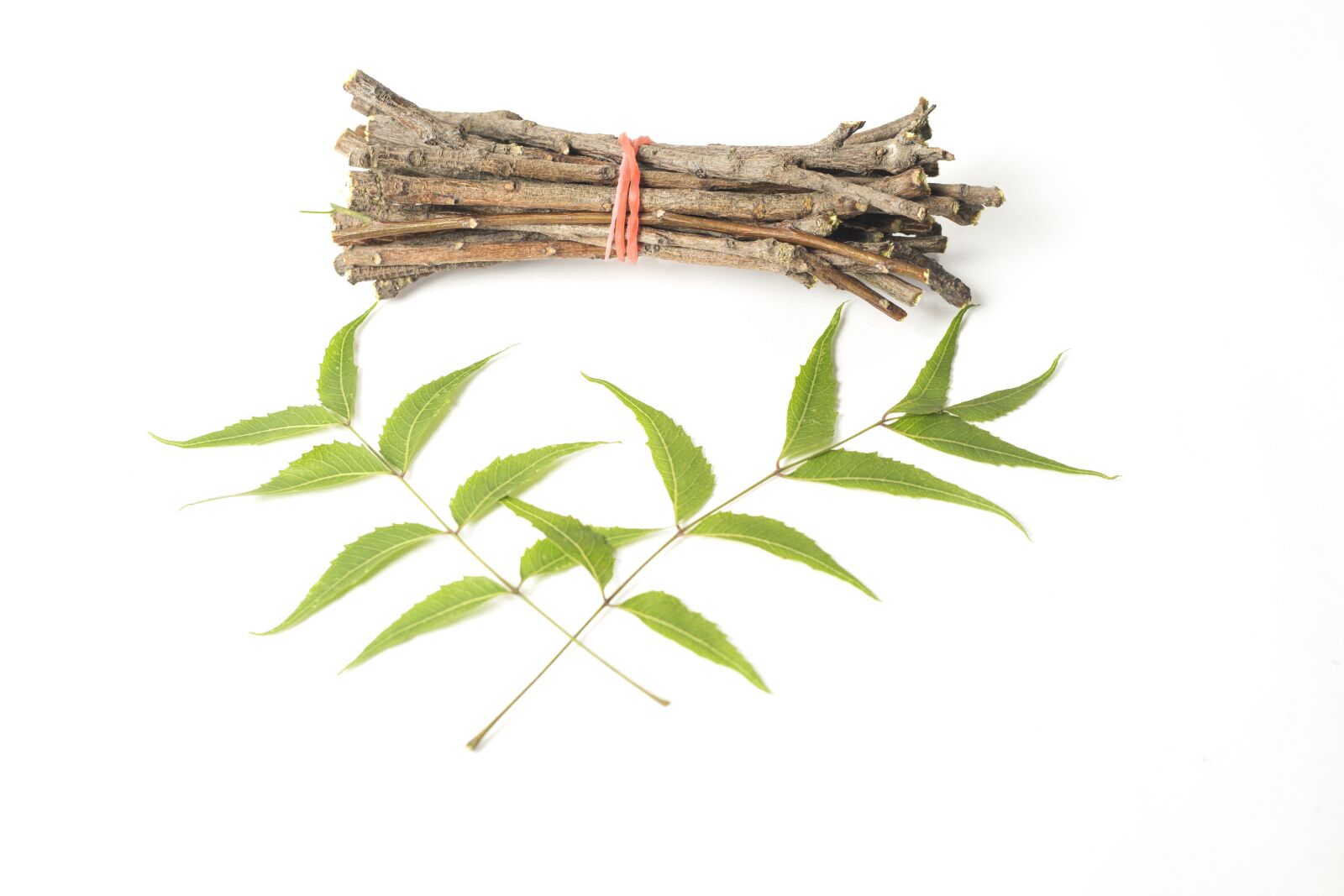 Canon EOS 5D Mark III sample photo. Ayurveda, ayurveda herbs, beauty photography
