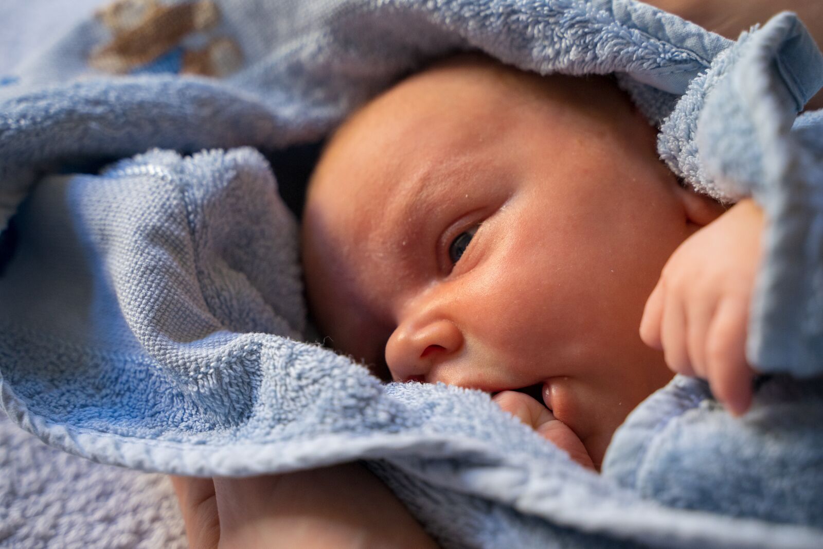 Tamron 28-75mm F2.8 Di III RXD sample photo. Baby, reborn, newborn photography