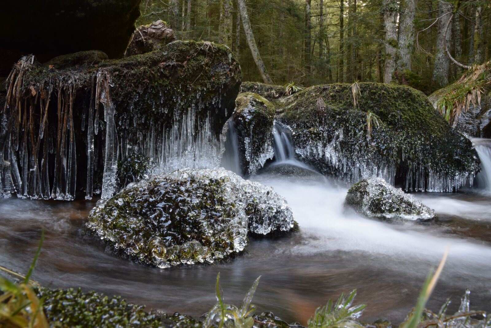 Nikon D5300 sample photo. Gel, water, cold photography